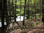 IMG 4621